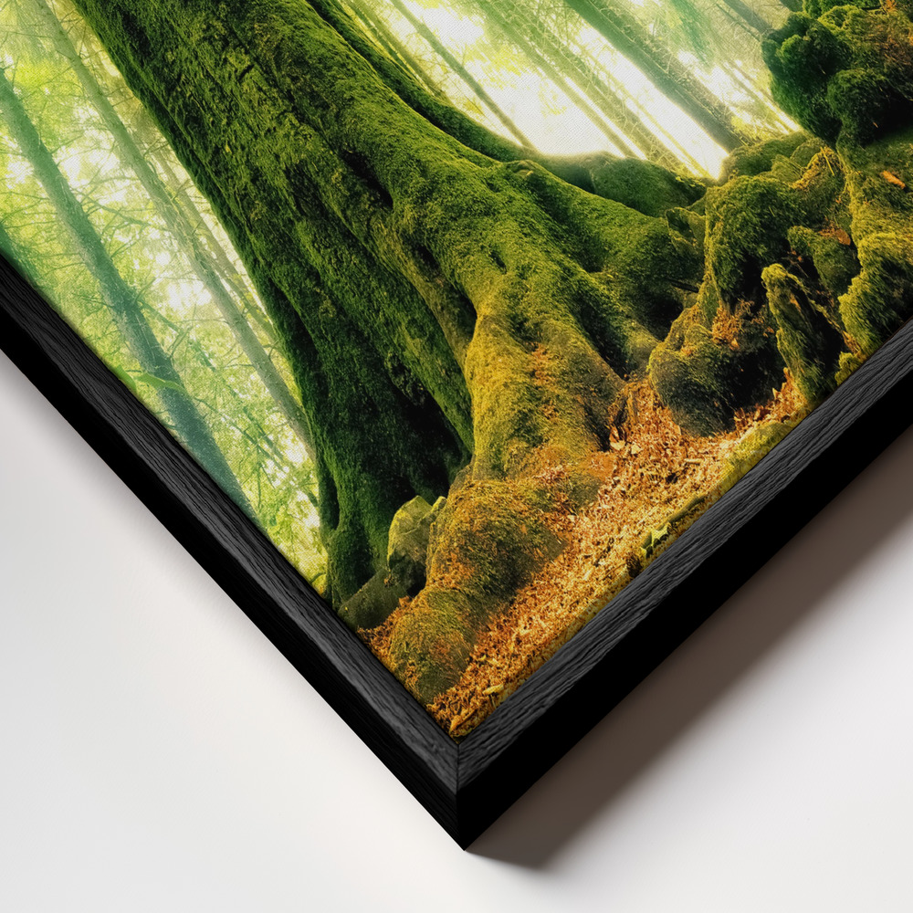 Canvas schilderi - Ponthus' Beech frame close-up - zwart frame