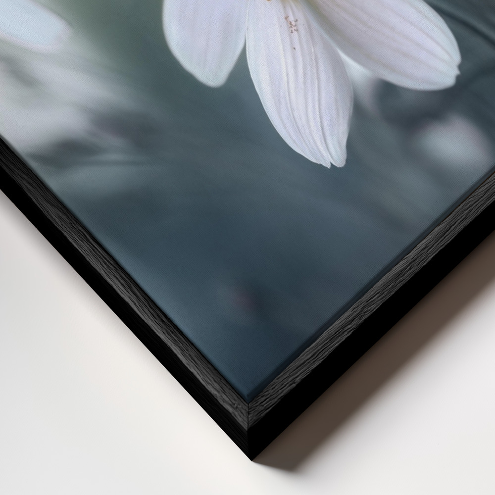 Canvas schilderi - Cosmos frame close-up - zwart frame