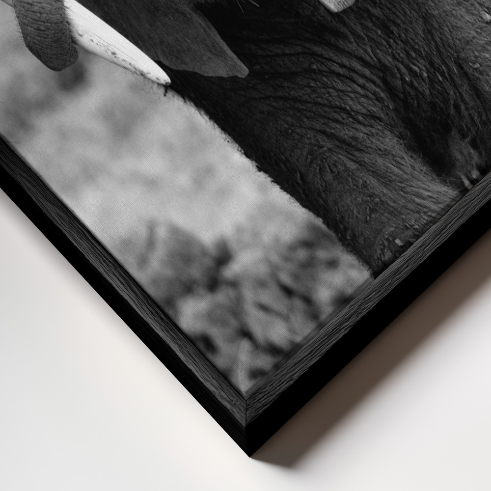Leinwandbild - Close rahmen Nahaufnahme - schwarzer Rahmen