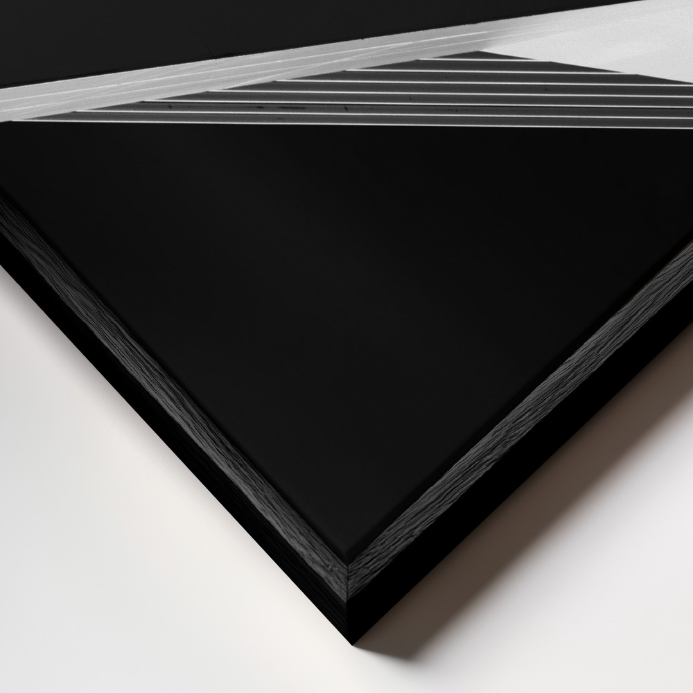 Canvas print - Abstraction of a swan frame close up - black frame