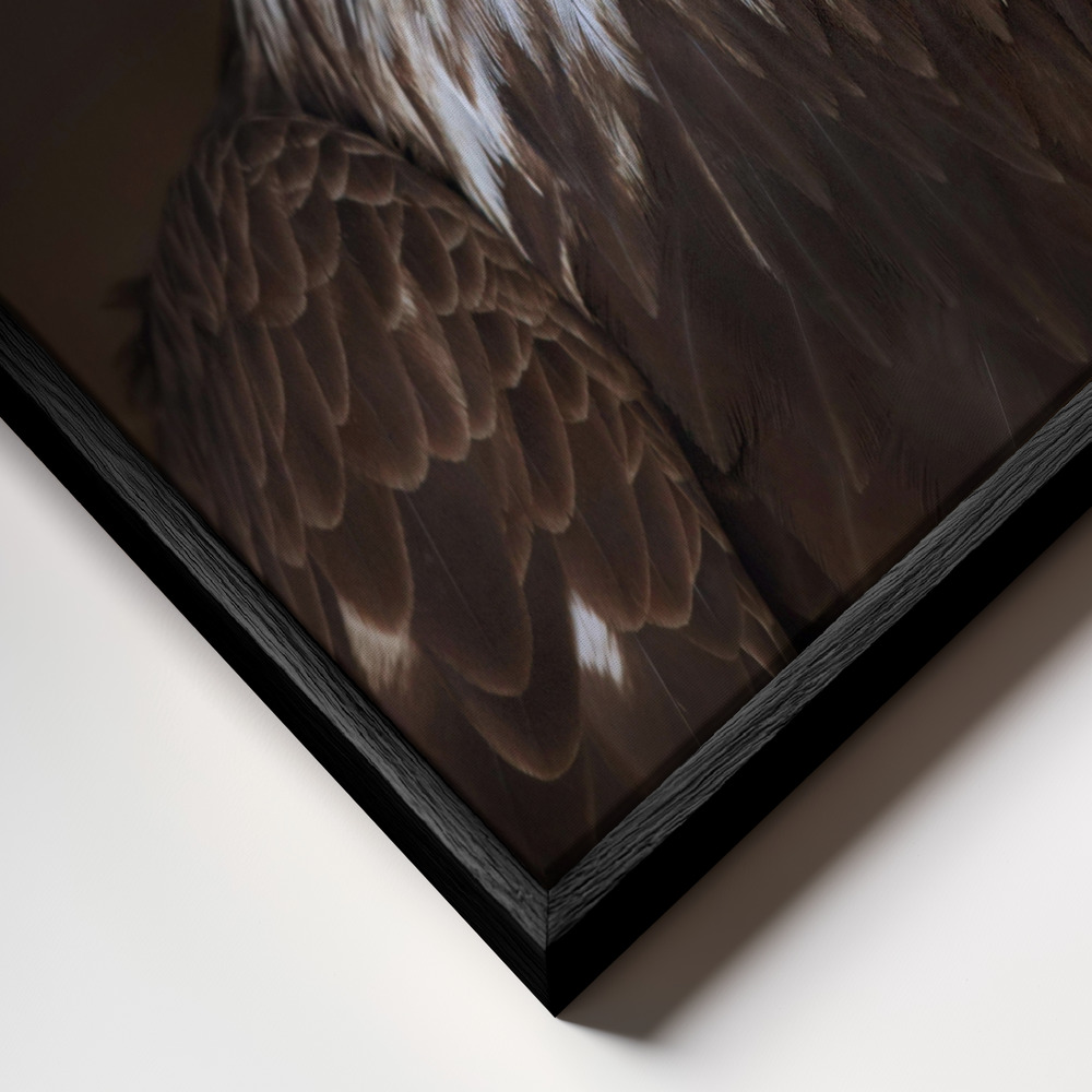Canvas taulu - Caged - Bald Eagle kehys lähikuvassa - musta kehys
