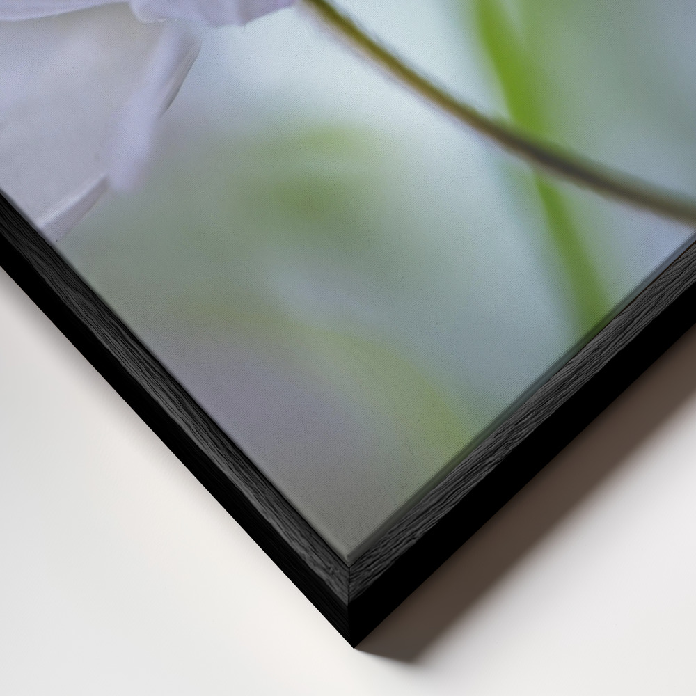 Canvas schilderi - Nemorosa Nirvana frame close-up - zwart frame