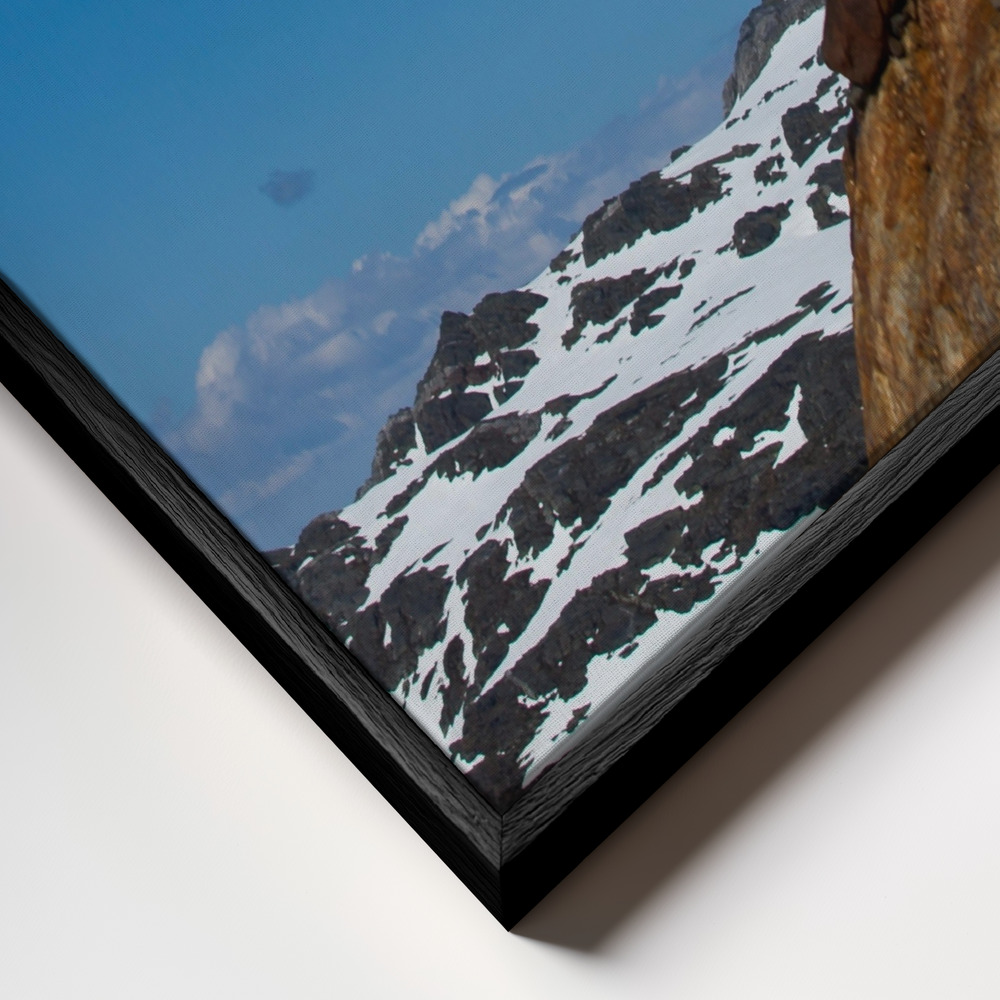 Canvas print - Free fall frame close up - black frame
