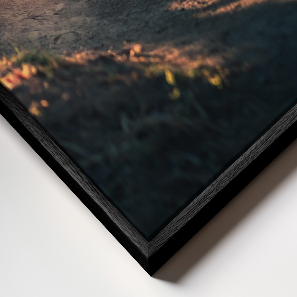 Canvas schilderi - Golden Bermed Corner frame close-up - zwart frame
