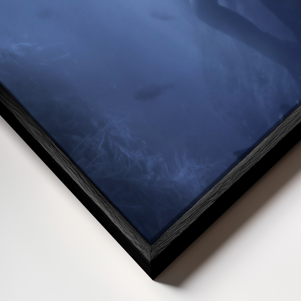 Canvas taulu - Blues kehys lähikuvassa - musta kehys