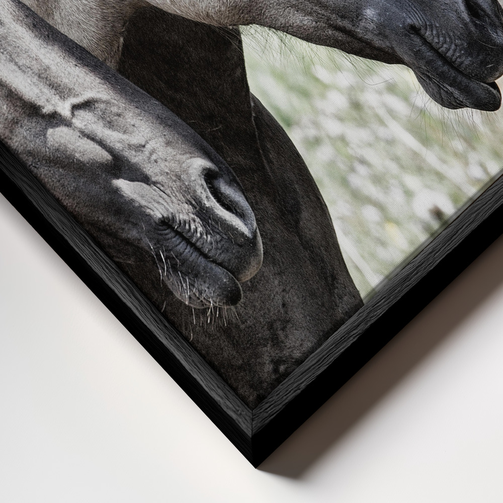 Canvas taulu - Four Konik Horses kehys lähikuvassa - musta kehys