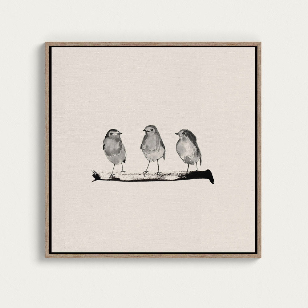 Canvas print - Robins   Three On a Branch 20x20 square canvas motif image