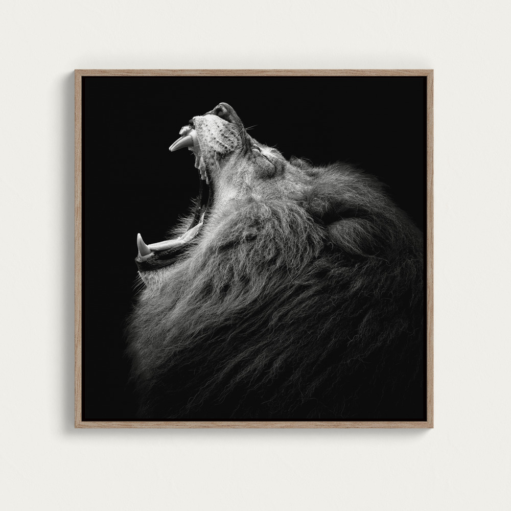 Canvas print - Primal Yawn #6 square canvas motif image