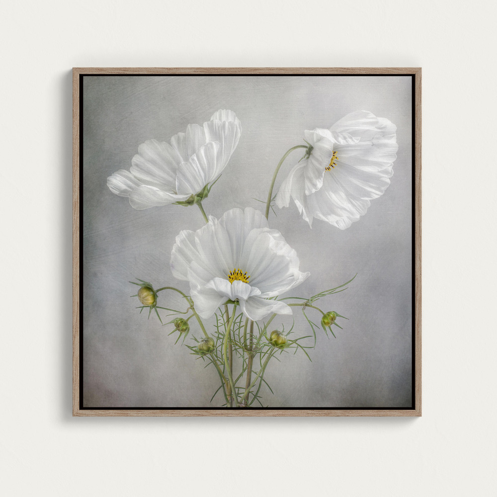 Canvas print - Cosmos Charm square canvas motif image