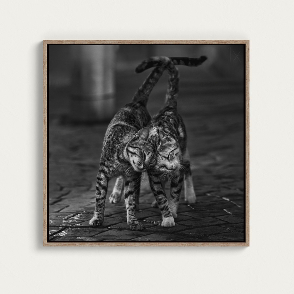 Canvas print - Untitled over dining table