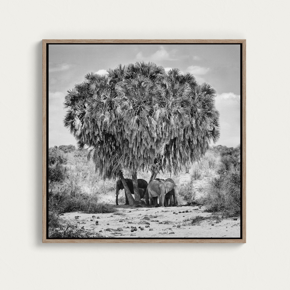 Canvas print - Noon meeting over dining table