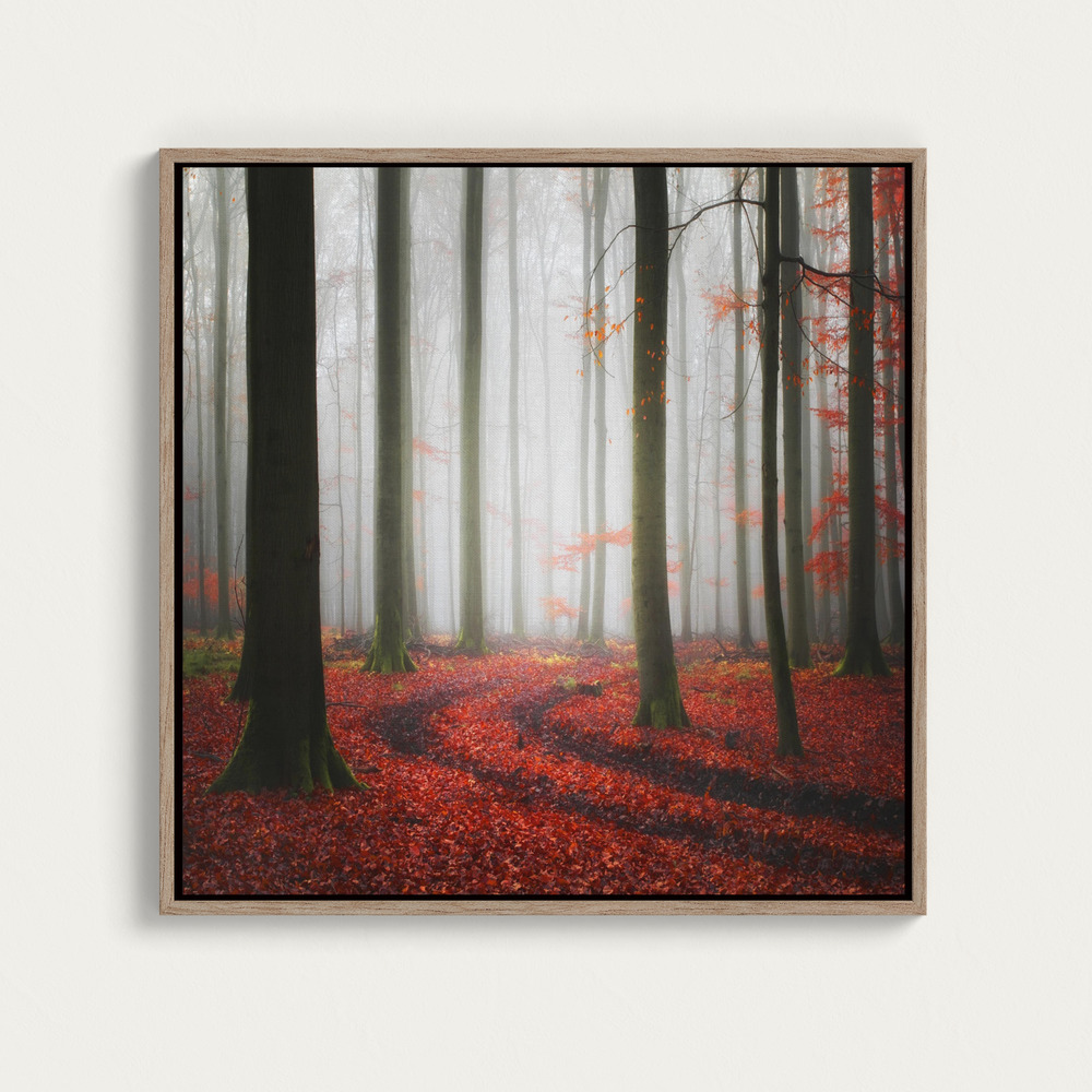 Canvas print - Autumnal Tracks over dining table