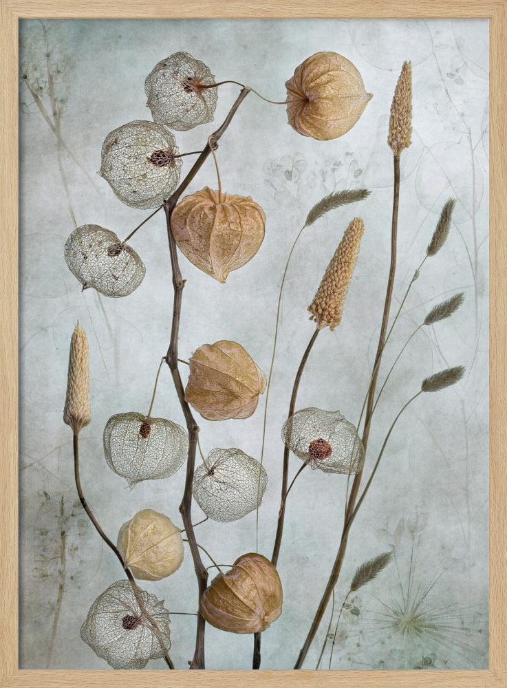 Poster - Lanterns* natural wood poster frame