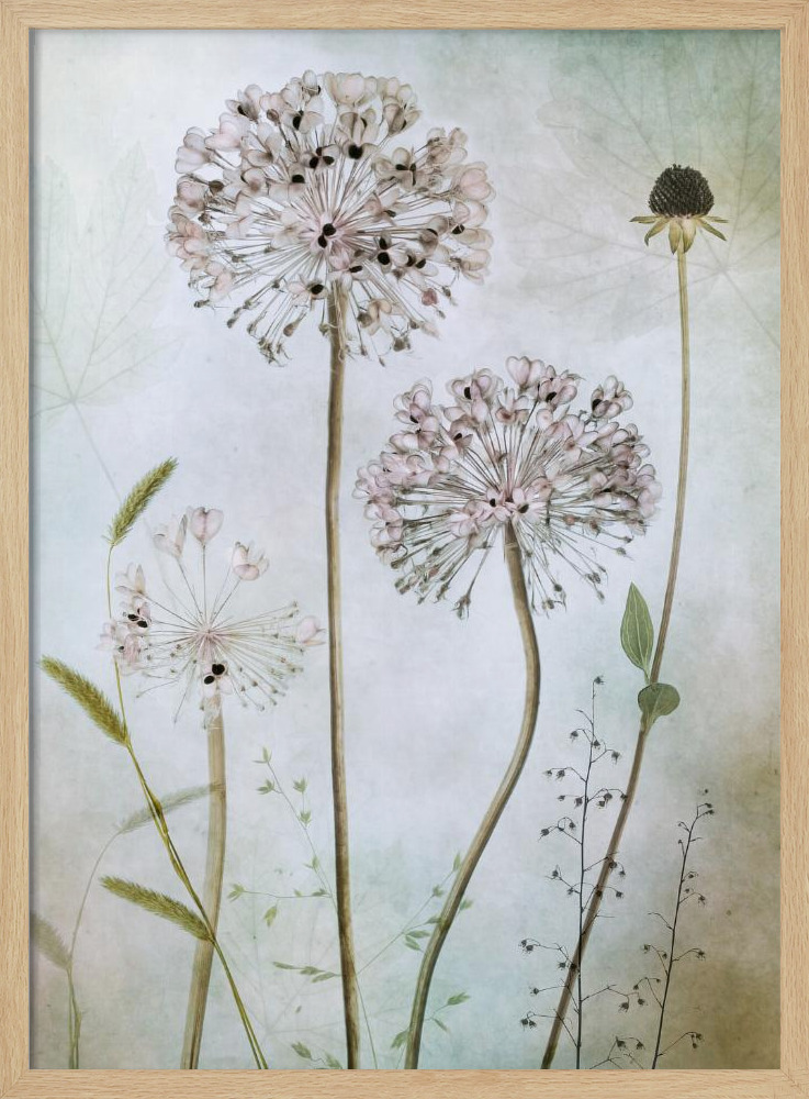 Poster - Allium natural wood poster frame