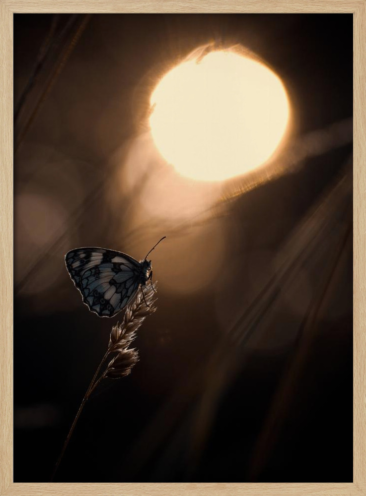 Poster - Communion avec les astres natural wood poster frame
