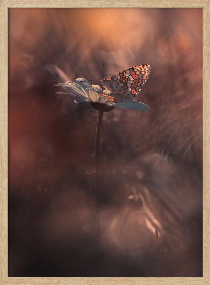 Poster - Pyrotechnics posterrahmen aus Naturholz