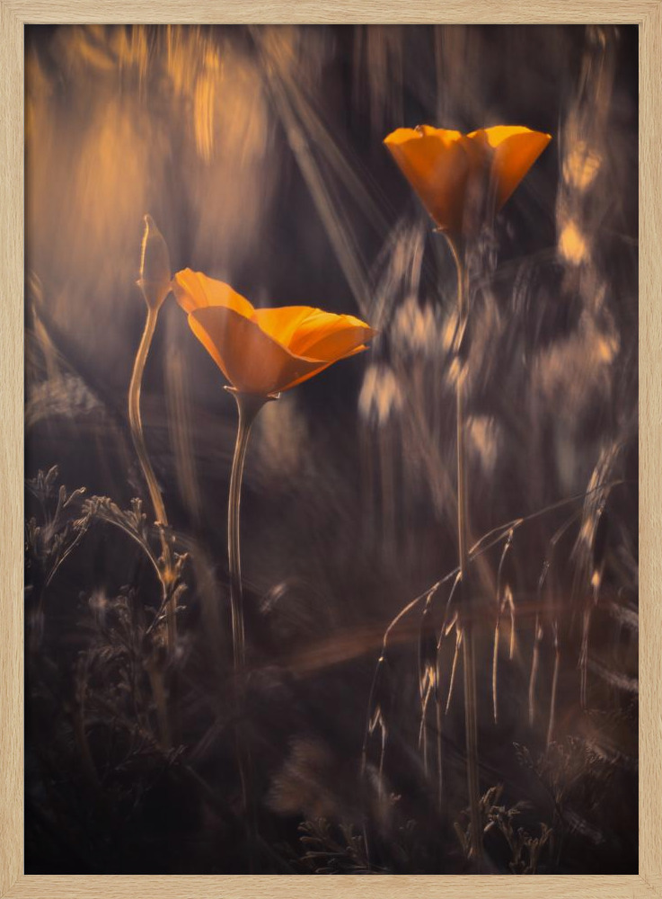 Affiche - From The Enchanted Secret Garden cadre de poster en bois naturel