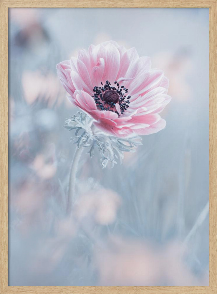 Poster - La reine de neiges natural wood poster frame