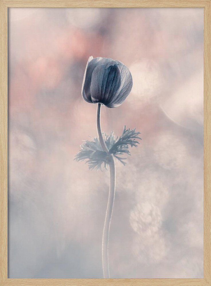 Poster - Soliste natural wood poster frame