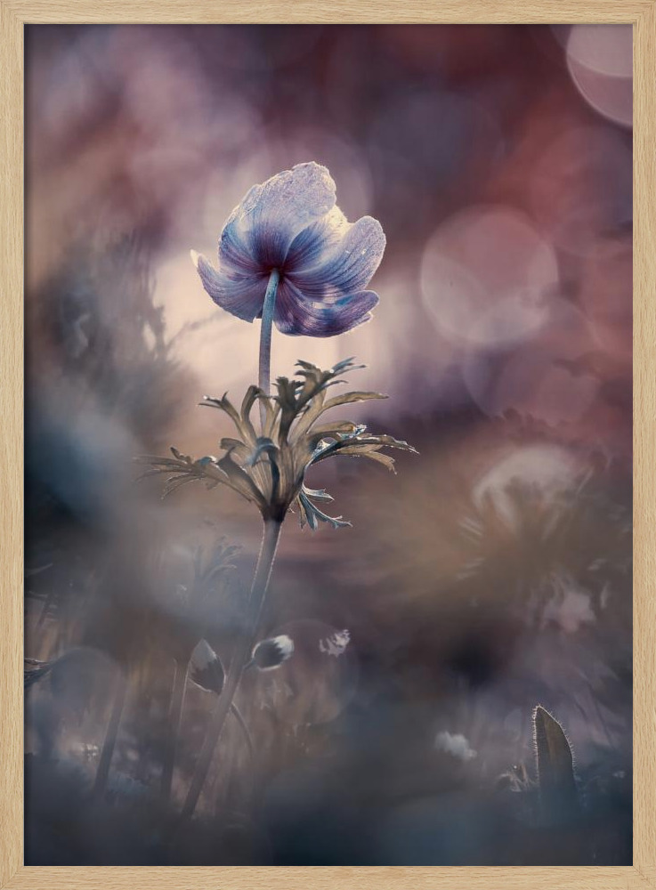 Poster - A brighter future natural wood poster frame