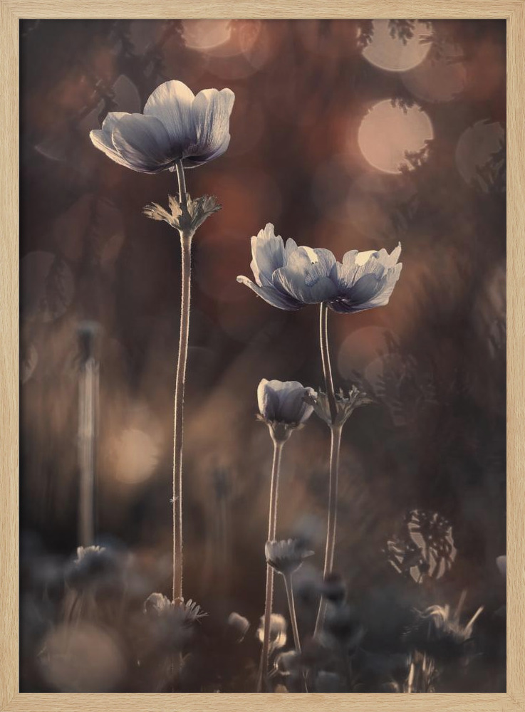 Poster - Ensemble natural wood poster frame