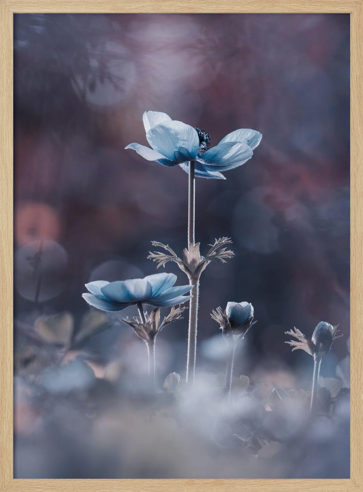 Poster - The beginning of a new era natural wood poster frame