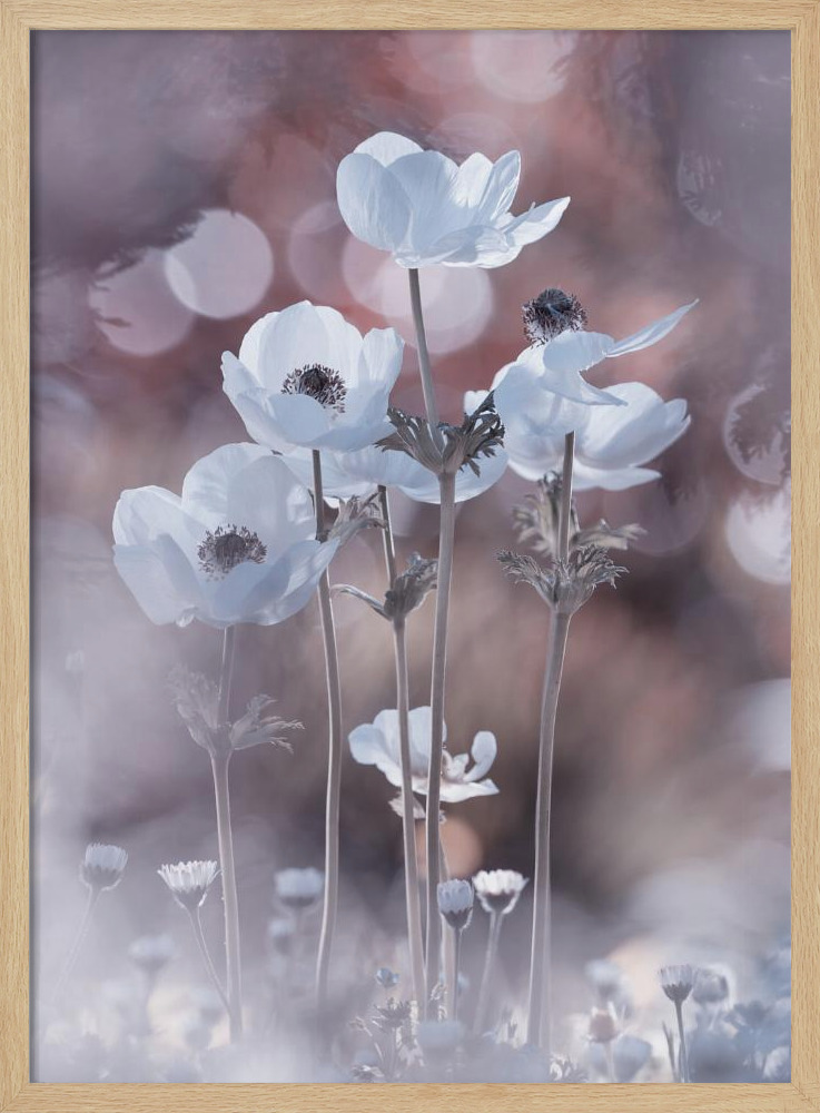 Poster - All the flowers of all the tomorrows are in the seeds of today natural wood poster frame