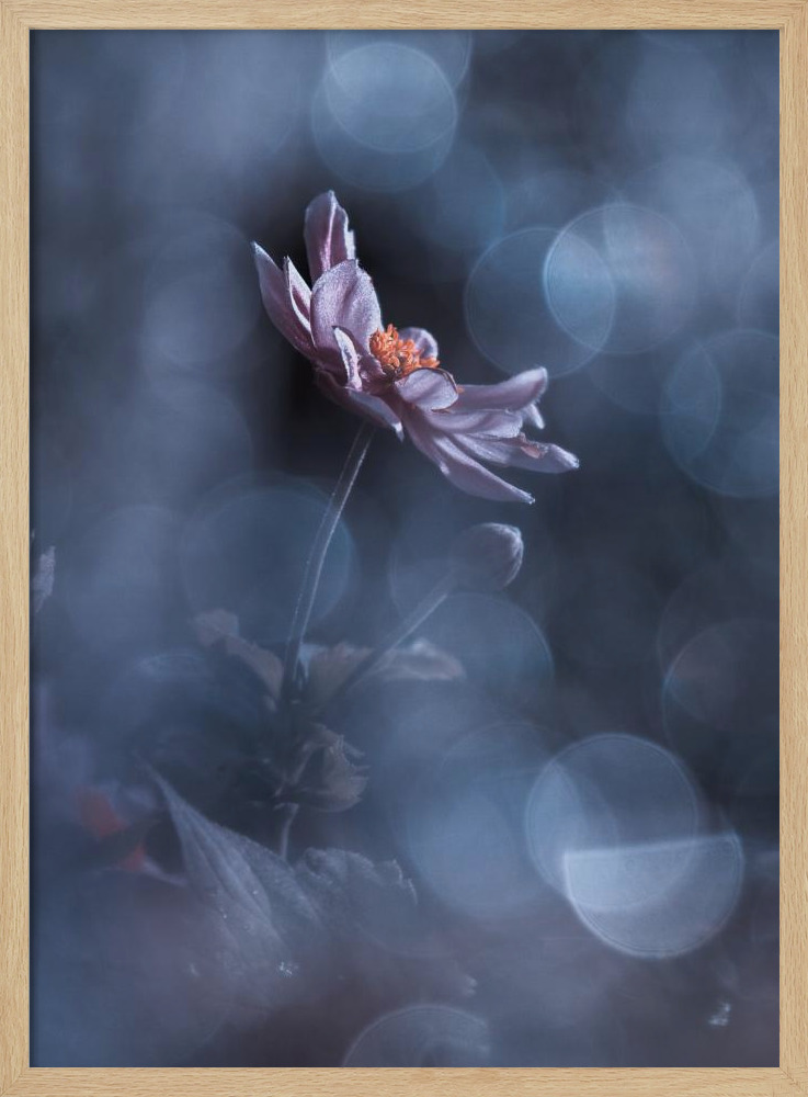 Poster - Dancing in the dark natural wood poster frame