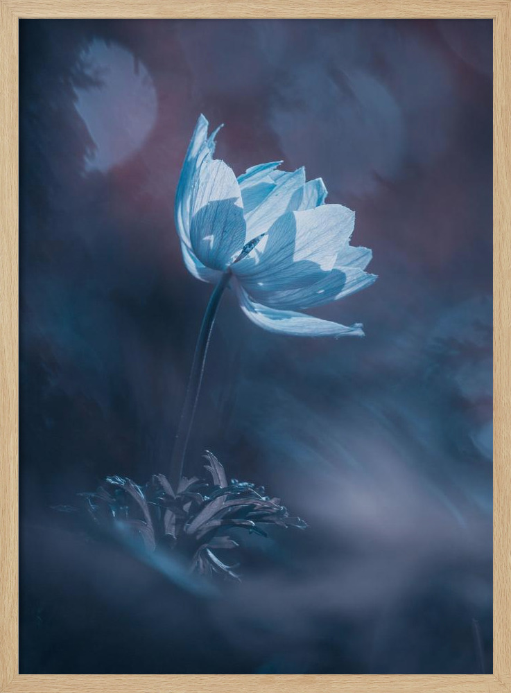 Poster - Dream on natural wood poster frame