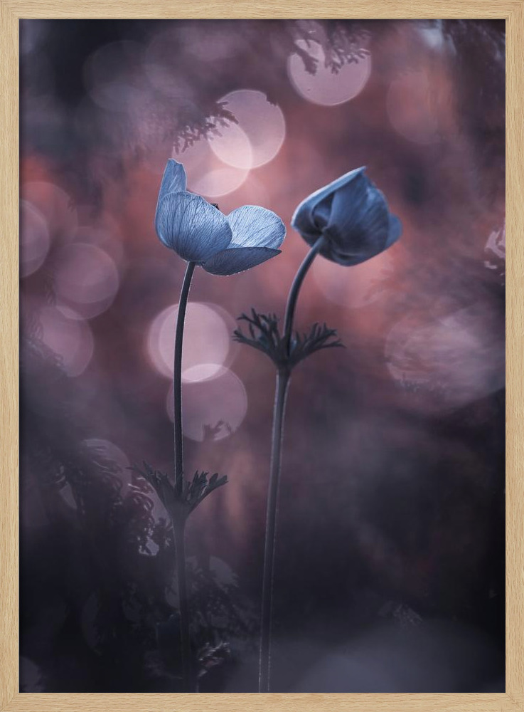 Poster - Why does my heart feel so bad natural wood poster frame