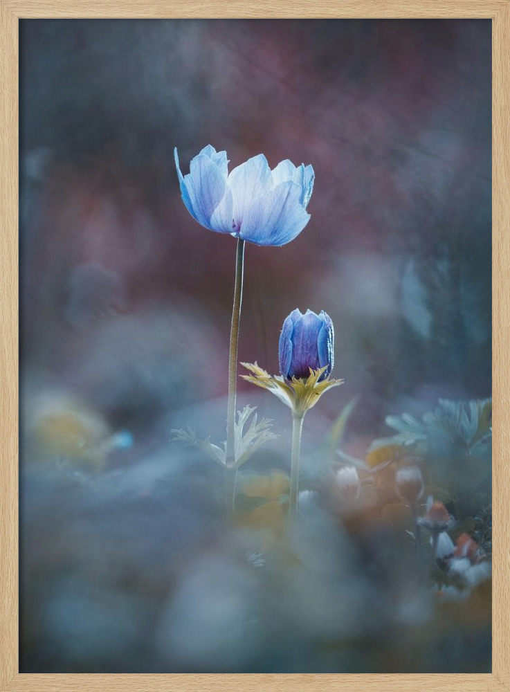 Poster - Growing Up natural wood poster frame