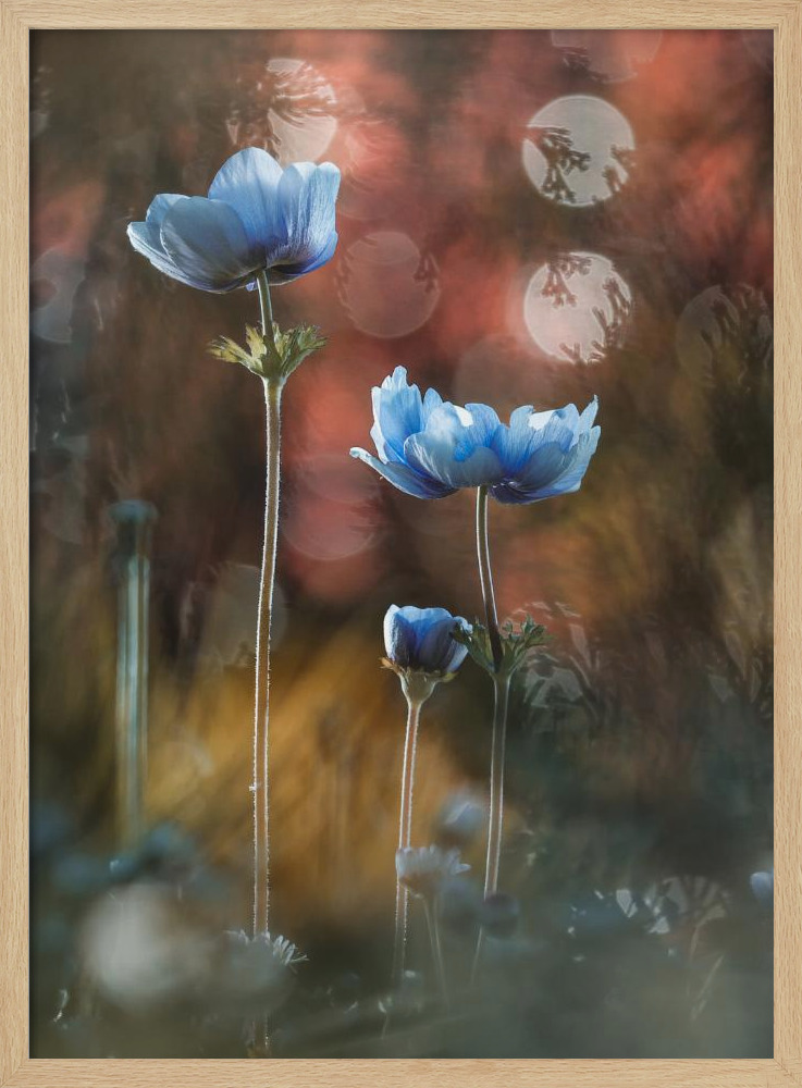 Poster - A riot of colors in a grey and dreary world natural wood poster frame