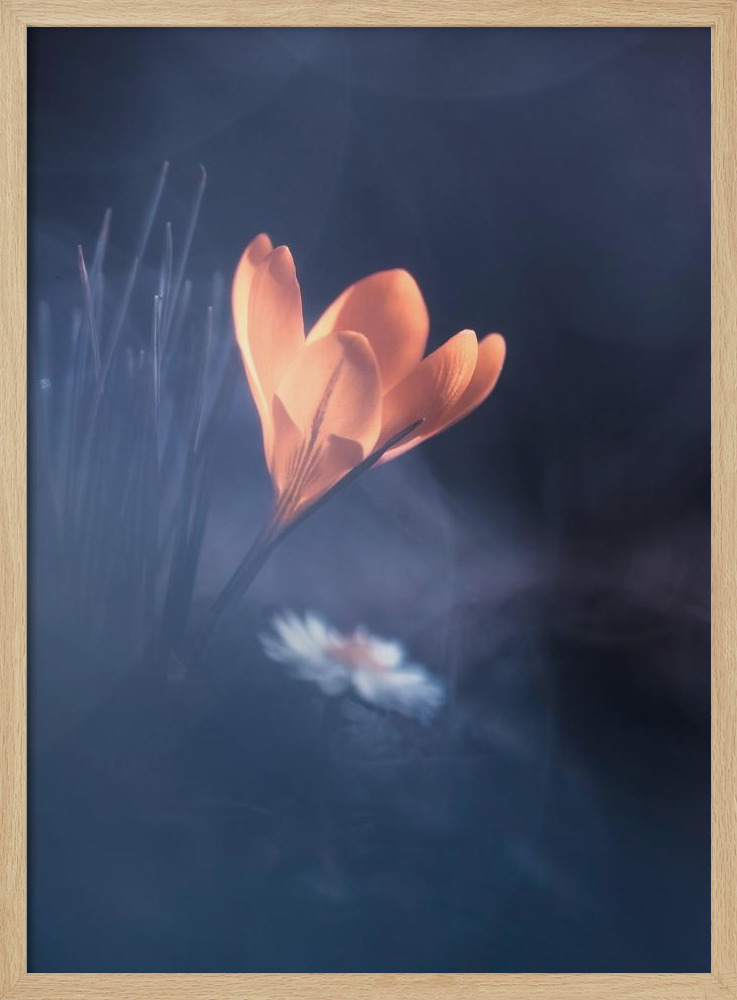 Poster - Upanishad natural wood poster frame