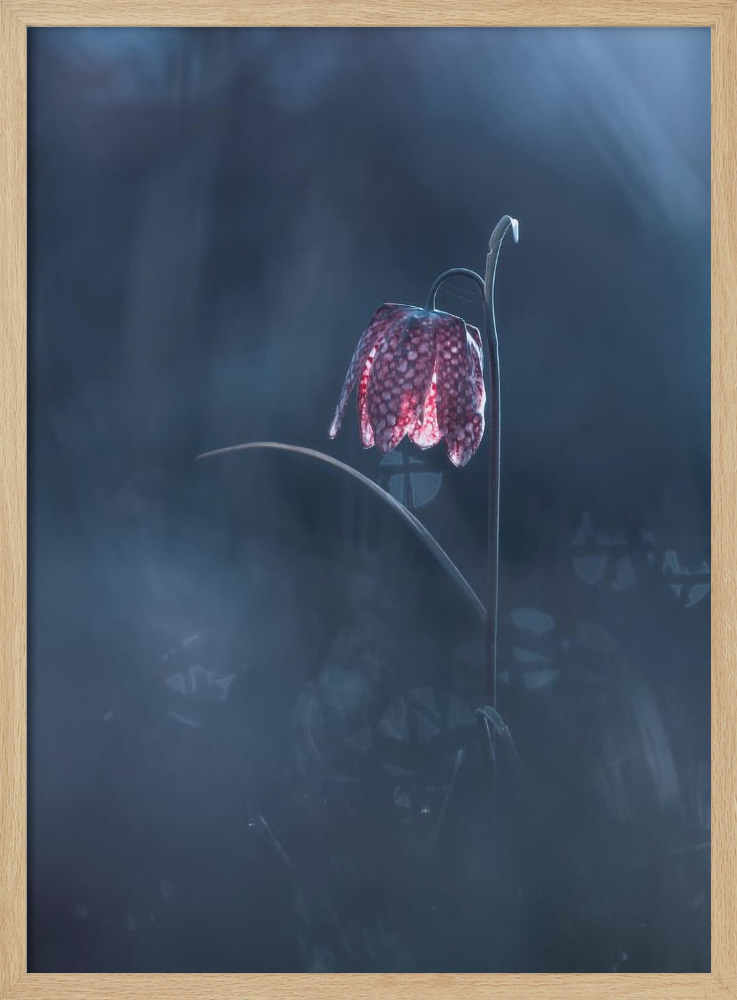 Poster - Ephemeral Fantasy natural wood poster frame