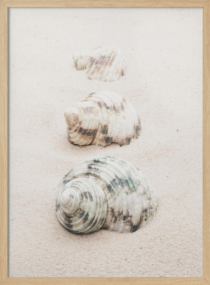 Poster - Shells natural wood poster frame