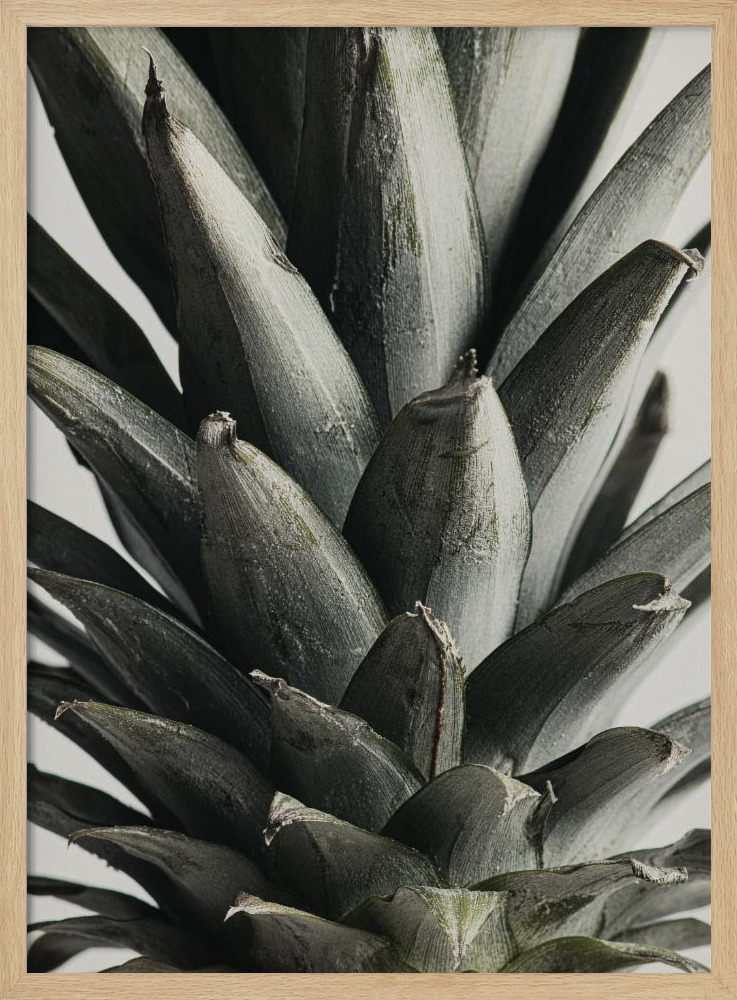 Poster - Pineapple close up natural wood poster frame