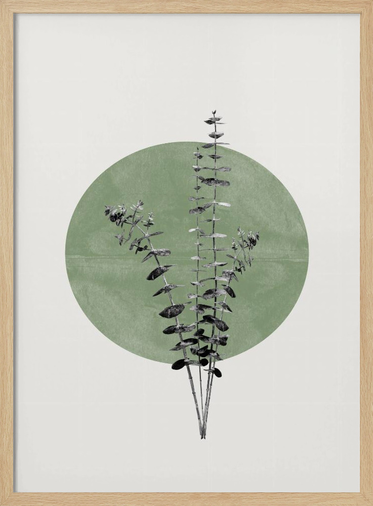 Póster - Eucalyptus and Green Moon natural wood poster frame