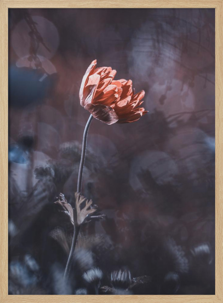 Poster - Elegance natural wood poster frame