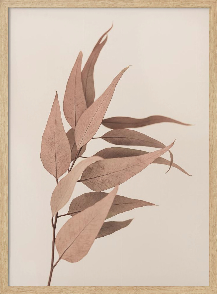 Poster - Dried Eucalyptus natural wood poster frame