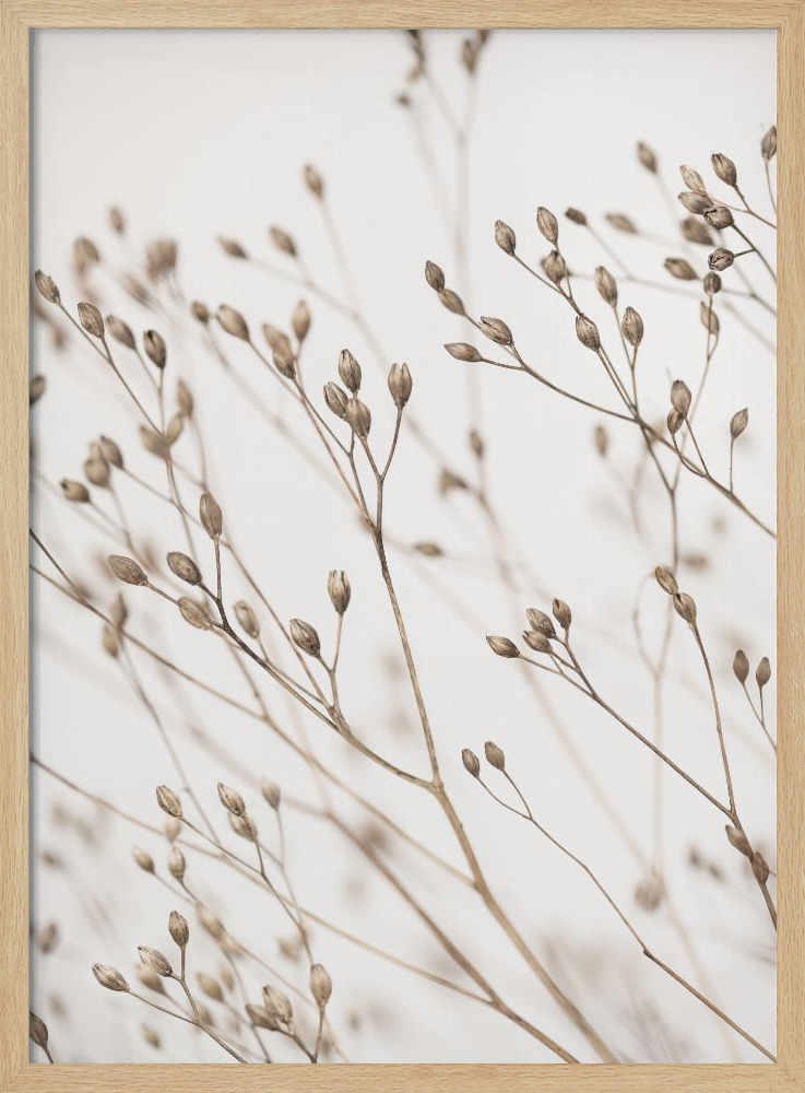 Poster - Wild Grass natural wood poster frame