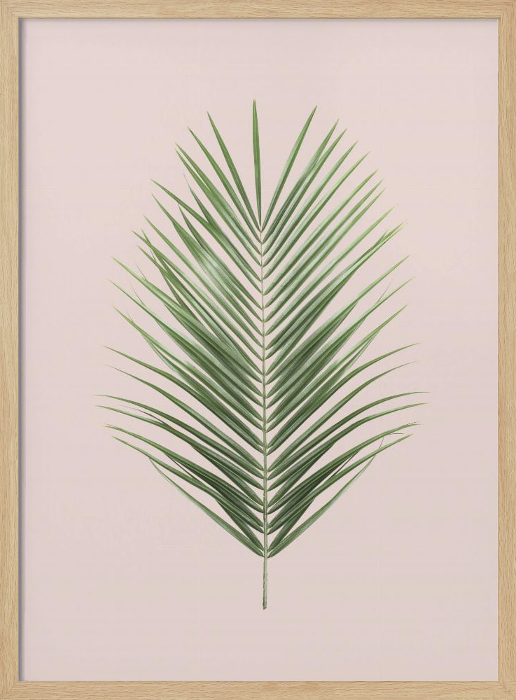 Plakat - Palm Leaf Blush ramka na plakat z naturalnego drewna