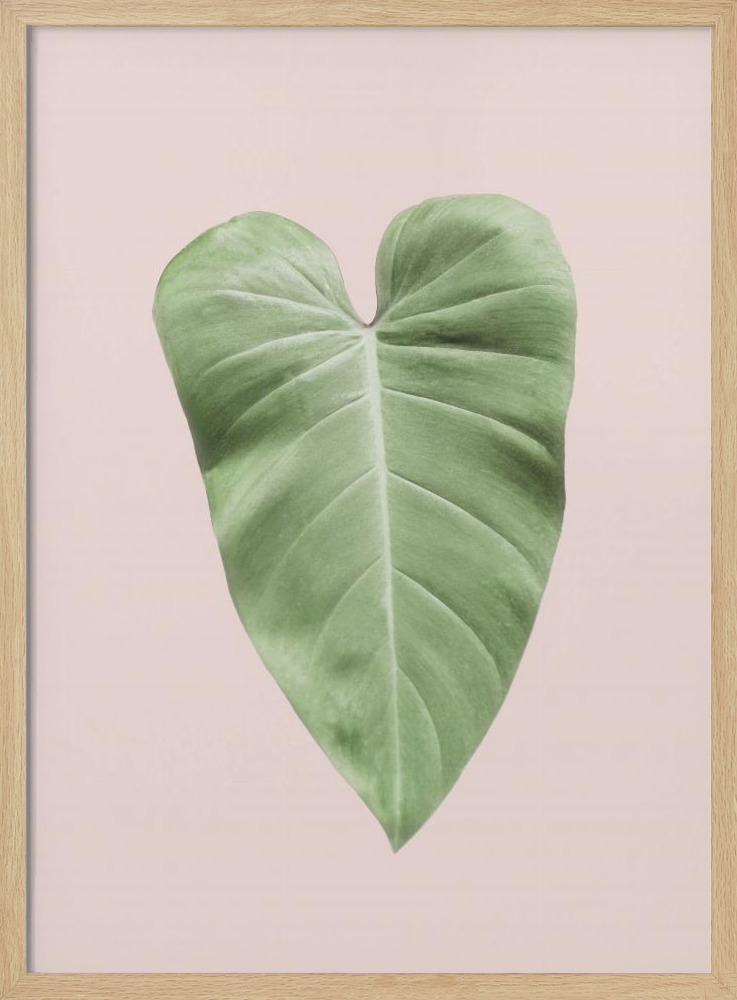 Plakat - Tropical Leaf Blush ramka na plakat z naturalnego drewna