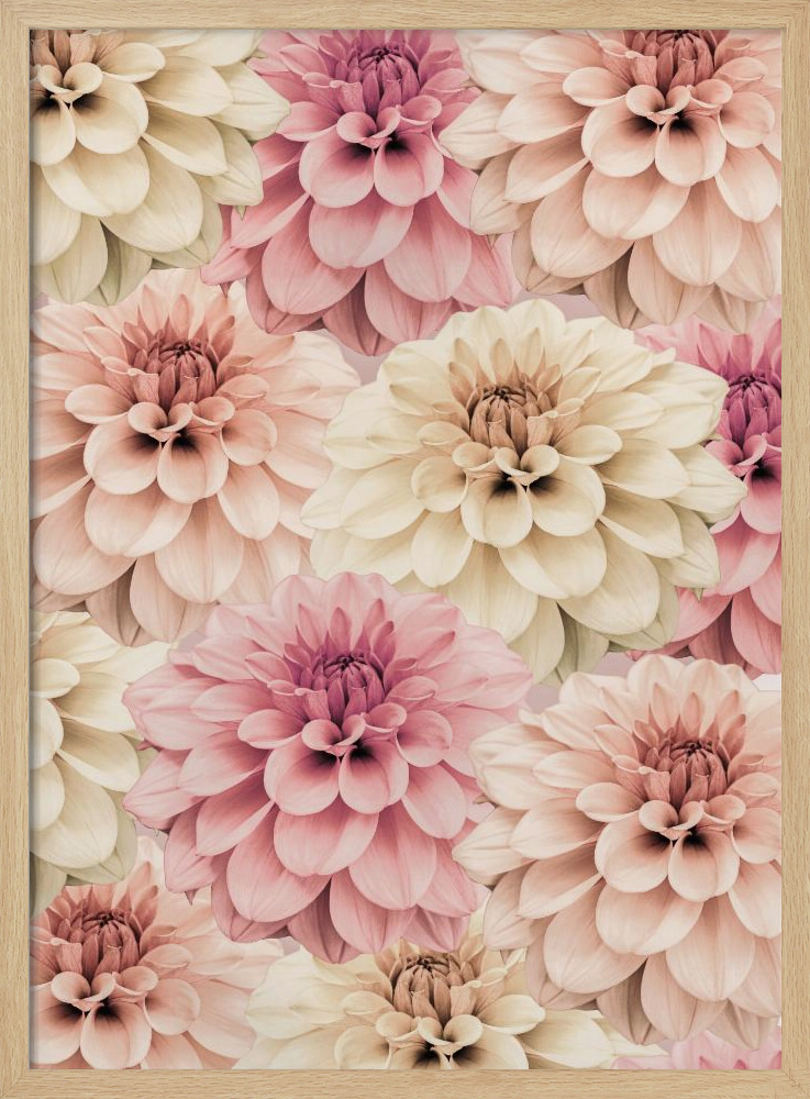 Affiche - Dahlia cadre de poster en bois naturel