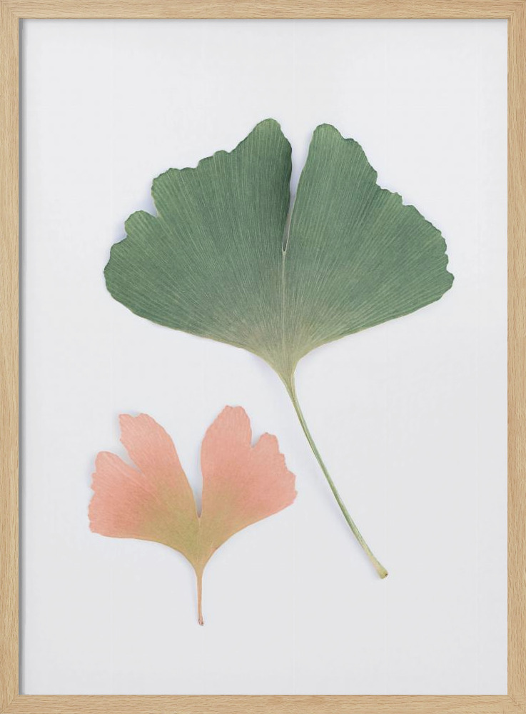 Plakat - Pastel Ginkgo ramka na plakat z naturalnego drewna