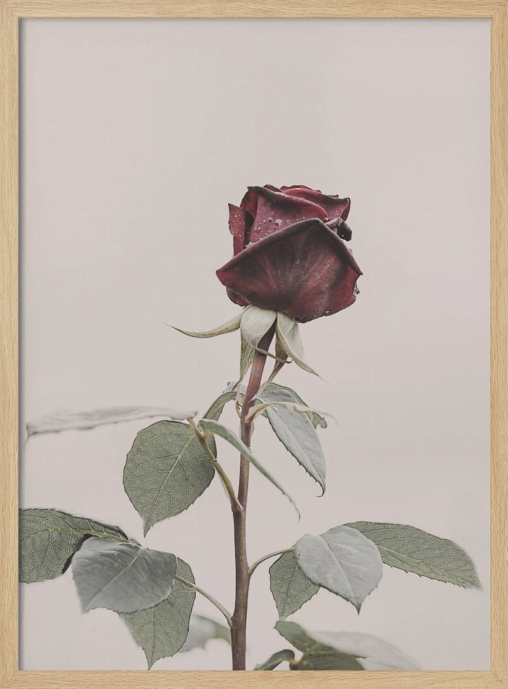 Poster - Rose natural wood poster frame