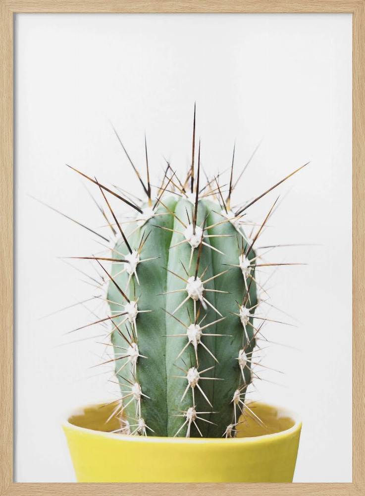 Poster - Spikey Cactus natural wood poster frame