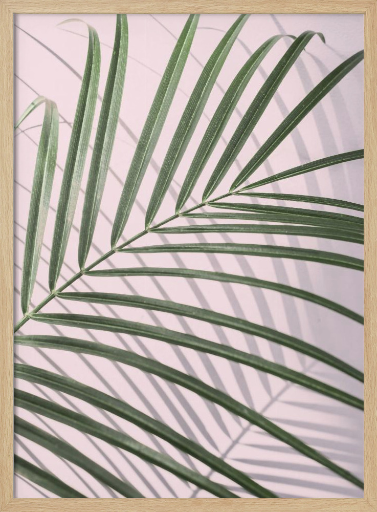 Plakat - Palm Leaf Shadow ramka na plakat z naturalnego drewna