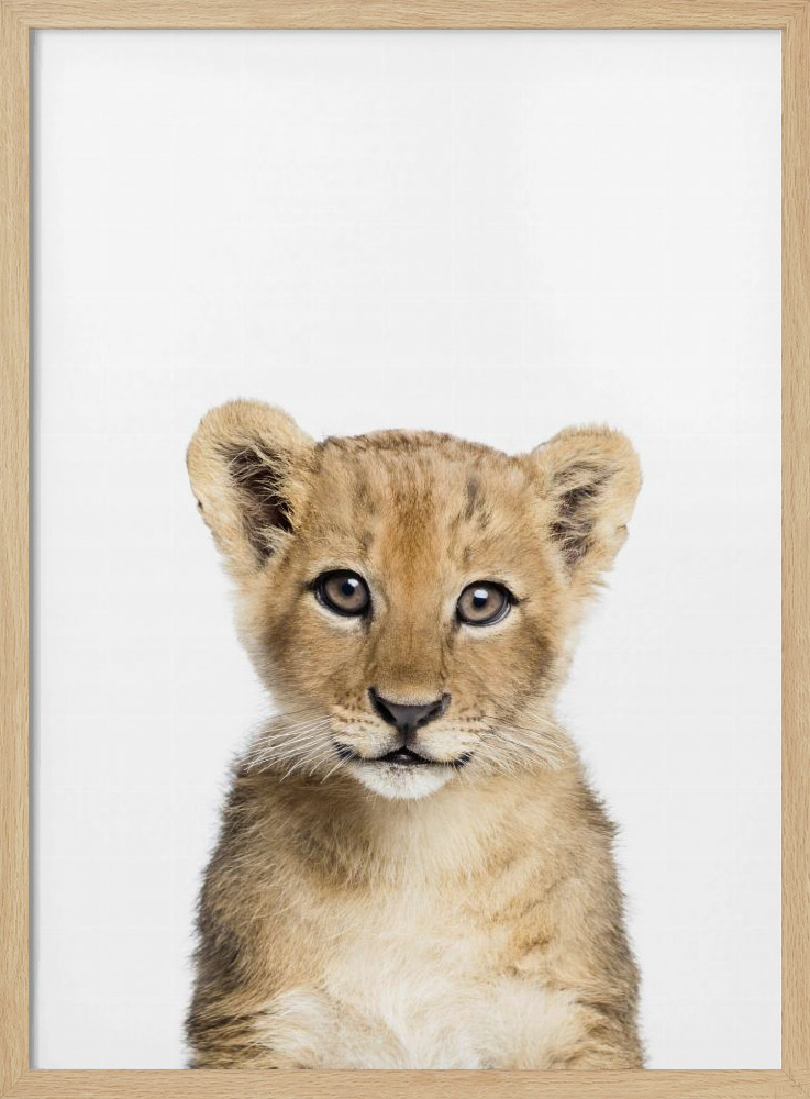 Plakat - Baby Lion ramka na plakat z naturalnego drewna
