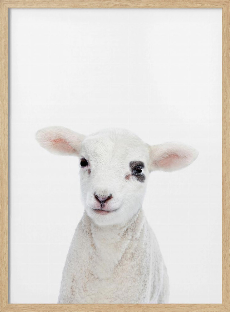 Poster - Baby Lamb natural wood poster frame