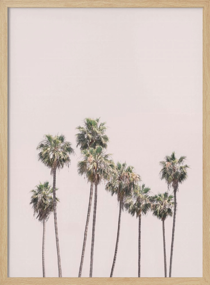 Poster - Blush Palms natural wood poster frame